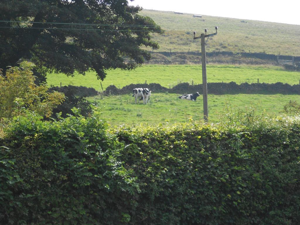 The Shady Oak B&B Whaley Bridge Экстерьер фото
